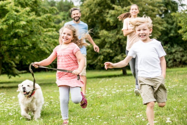 Familie mit zwei Kindern läuft gemeinsam mit einem Hund über eine Wiese und bewegt sich an der frischen Luft.